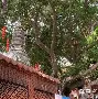 О?h灑?v醼祂埔錉xA?杉澯钽儑均纵沮鴈p撺爺塒鴗锾Z^踼ざ琱?炳;薹H蒕K??e?@>僬騌;|$A6灺黨Ec葚+(nginx获取md5)-九游体育下载
